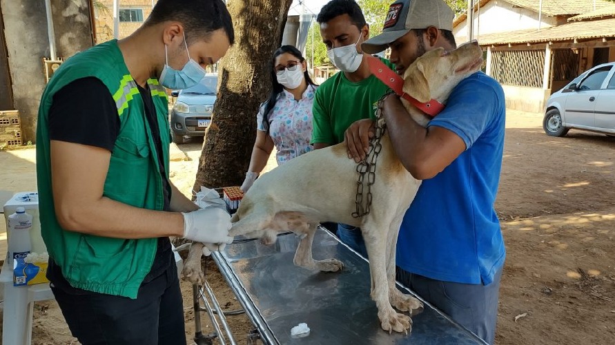 O objetivo da ação é a vacinação antirrábica para cães e gatos e também coleta de sangue de cães para exame de leishmaniose visceral canina.