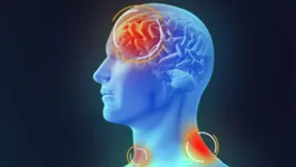Meningite afeta as membranas que envolvem o cérebro