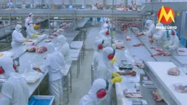 Imagem ilustrativa da notícia Mercúrio Alimentos: maior exportador do agronegócio paraense