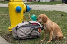 Ela estava amarrada a um poste, com a mochila