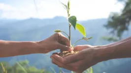 Economia criativa busca maneiras de empreender sem agredir o meio ambiente