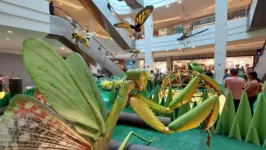 Ao todo, 14 insetos gigantes podem ser conferidos na exposição, que ficará disponível até o dia 29