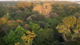 Código Florestal foi criado no dia 25 de maio de 2012