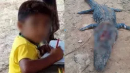 Animal matou criança indígena de 10 anos em comunidade de Itaituba no dia 4 de maio