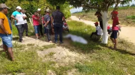 Moradores da Vila Casa de Tábua, às margens da Vicinal Borba Gato, na zona rural do município de Tailândia, encontraram o corpo da vítima debaixo de uma árvore