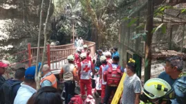 Prefeito, esposa e vereadores estavam andando na ponte quando ela caiu