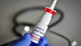 Vacina de spray nasal para Covid-19 é a solução para fim da pandemia, dizem especialistas