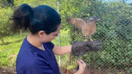 Médica veterinária mostra a atual situação da ave