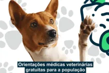 Ação vai atender cães e gatos, filhotes ou adultos.