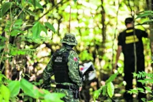 Estado vem intensificando as ações de combate aos crimes ambientais