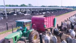 Empresa sediada no Pará