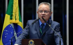 O senador Zequinha Marinho (PL-PA)