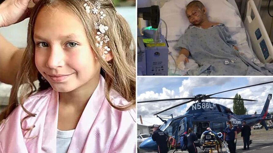 Criança de 9 anos sobrevive ao ser atacada por puma nos EUA