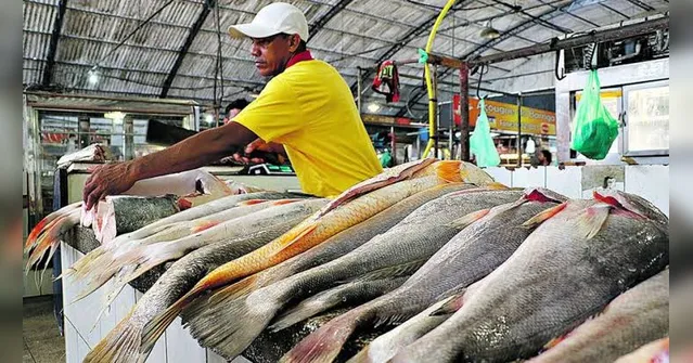 Imagem ilustrativa da notícia Pescado tem queda de preço na capital