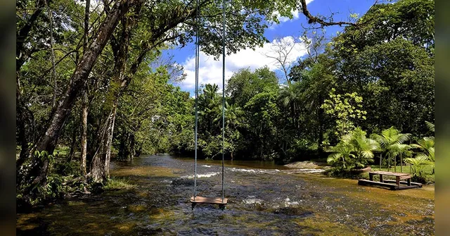 Imagem ilustrativa da notícia Na Estrada com o Diário traz santuários e parques ecológicos