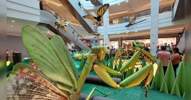 Imagem ilustrativa da notícia Criançada pode curtir exposição de insetos gigantes em Belém