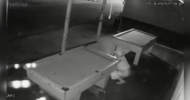 Imagem ilustrativa da notícia Vídeo: homem defeca em bar e espalha fezes em sinuca no Pará