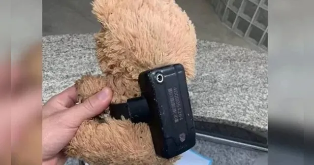 Imagem ilustrativa da notícia Tornozeleira eletrônica é encontrada em urso de pelúcia