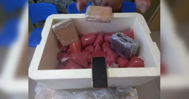 Imagem ilustrativa da notícia Homem é preso ao trazer droga escondia em isopor para Belém