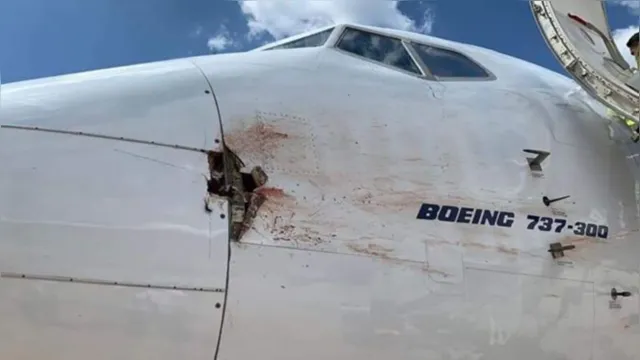 Imagem ilustrativa da notícia Colisão com ave deixa buraco em avião no México