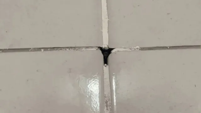 Imagem ilustrativa da notícia Vídeo: alunos encontram câmera escondida dentro de banheiro 