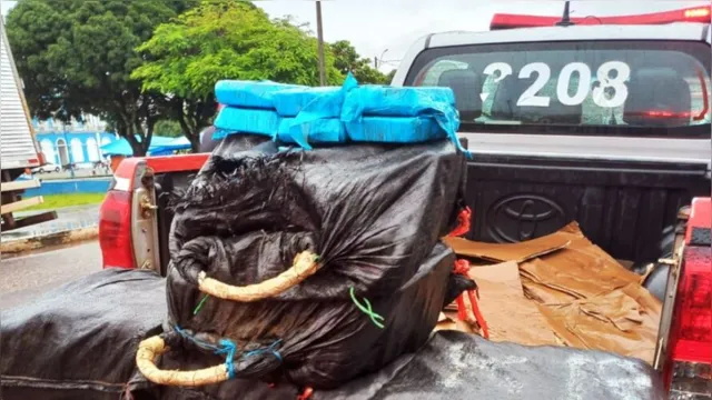 Imagem ilustrativa da notícia No fundo do rio: Polícia apreende 150 Kg de drogas em Cametá
