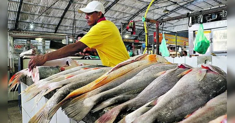 Imagem ilustrativa da notícia Pescado tem queda de preço na capital