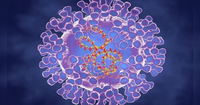 Imagem ilustrativa da notícia "Varíola de macacos": OMS alerta para risco de pandemia