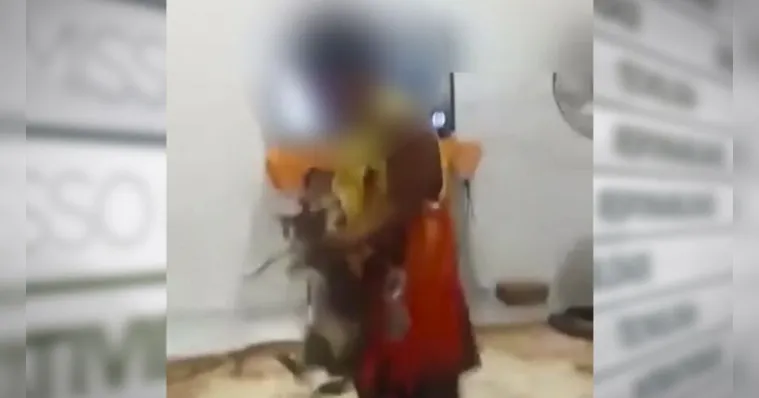 Imagem ilustrativa da notícia Vídeo de garoto balançando com força gato é alvo de denúncia