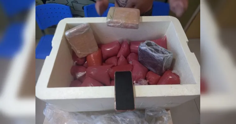 Imagem ilustrativa da notícia Homem é preso ao trazer droga escondia em isopor para Belém