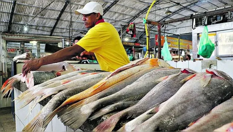 Imagem ilustrativa da notícia Pescado tem queda de preço na capital