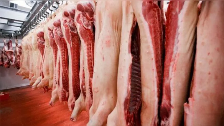 Imagem ilustrativa da notícia Alemanha vai exigir rótulo de bem-estar animal em carnes