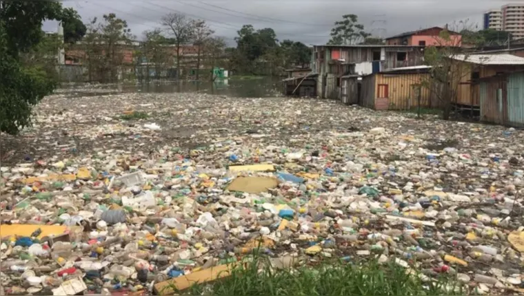 Imagem ilustrativa da notícia "Tapete de lixo" é formado em Igarapé após chuva em Manaus