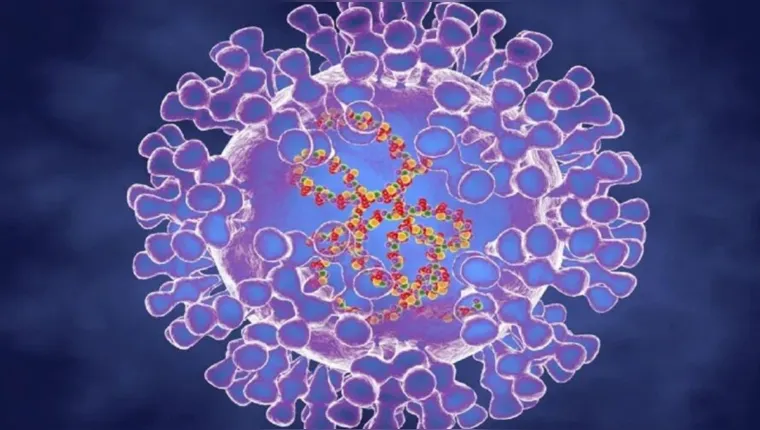 Imagem ilustrativa da notícia "Varíola de macacos": OMS alerta para risco de pandemia