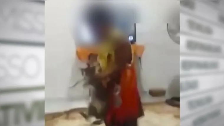 Imagem ilustrativa da notícia Vídeo de garoto balançando com força gato é alvo de denúncia