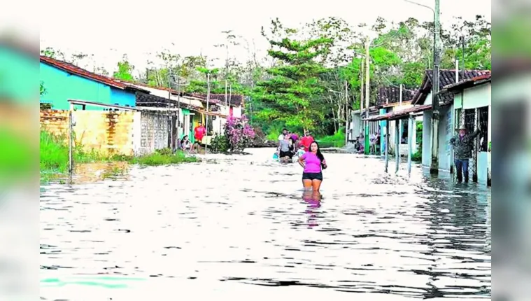 Imagem ilustrativa da notícia Governo decreta estado de emergência no nordeste do Pará