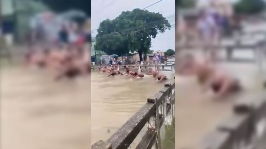 Coragem! Um grupo de homens foi visto disputando uma "prova de natação" em um canal de Belém.