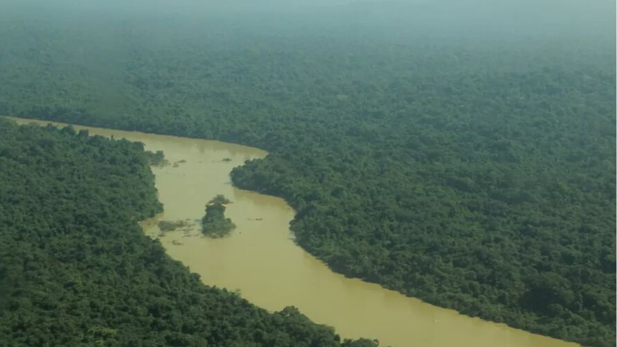 Risco é de conflito após invasão de terra indígena no Pará