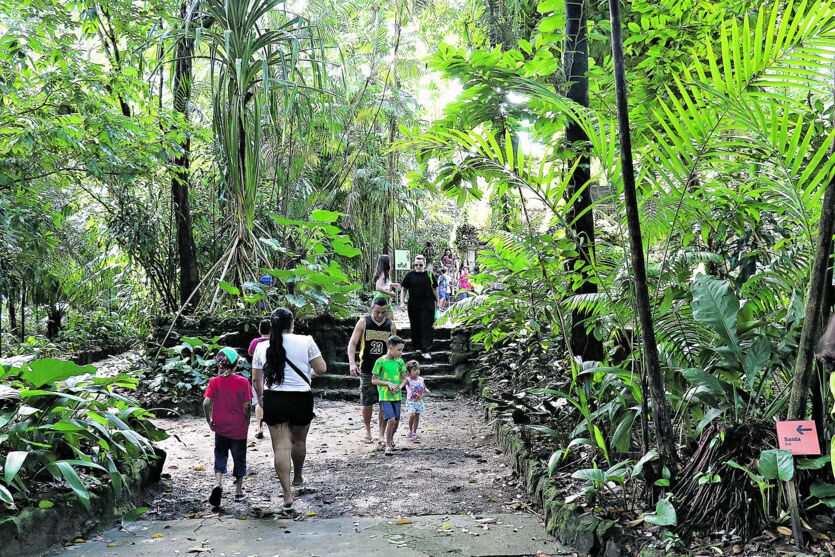 Museu Emílio Goeldi ficou lotado na reabertura de domingo para as famílias e curiosos