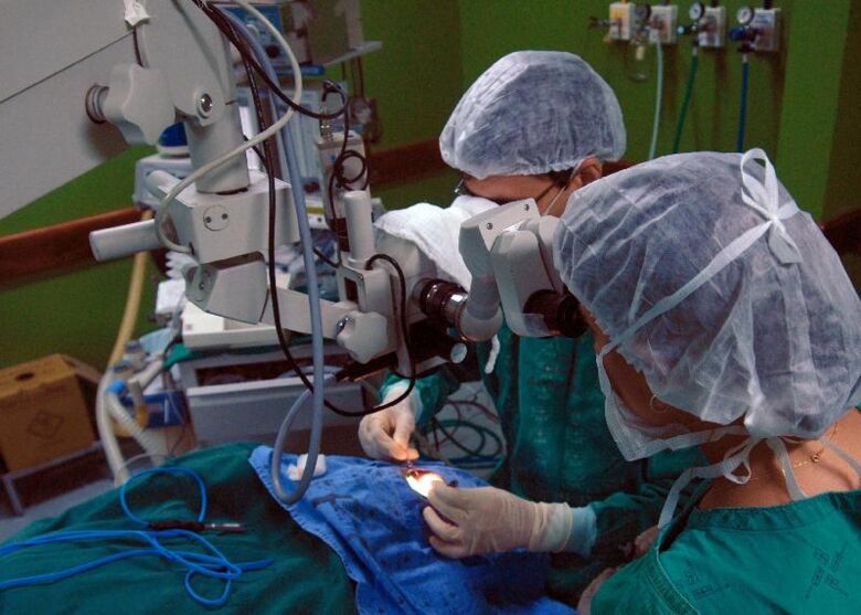 Número de transplantes de rim caiu no Brasil 