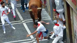 Os touros correm pelas ruas estreitas da cidade, que conduzem até as arenas de touros, onde os animais são mortos.