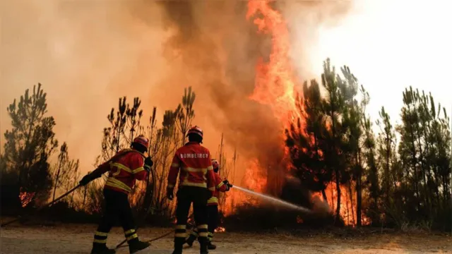 Imagem ilustrativa da notícia Portugal luta contra graves incêndios florestais 