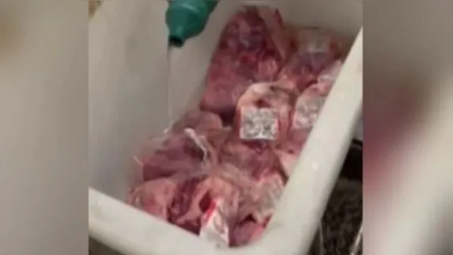 Imagem ilustrativa da notícia Vídeo: funcionário de mercado joga cloro em carne com larvas