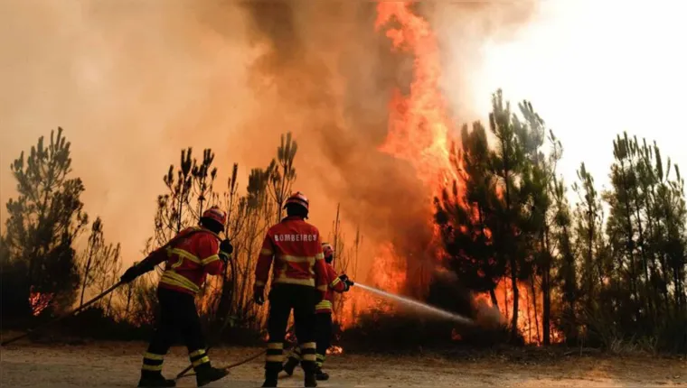 Imagem ilustrativa da notícia Portugal luta contra graves incêndios florestais 