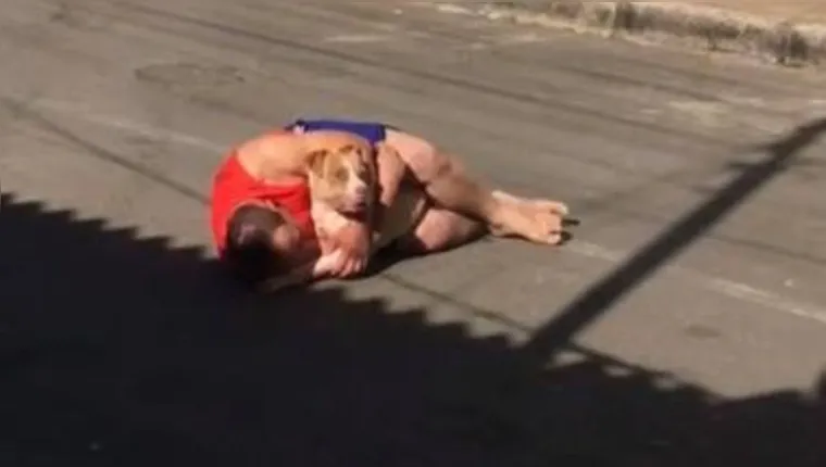 Imagem ilustrativa da notícia Tutor de pitbull fica ferido ao separar briga com cão de rua