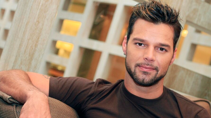Ricky Martin de 50 anos está sendo acusado de violência doméstica.