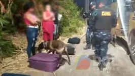 Agentes utilizaram um cão farejador para ir atrás de drogas nas bagagens