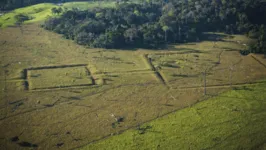 Geoglifos, como estes no Acre, atestam a forte presença humana no passado da Amazônia.