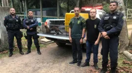 Os agentes da Semma e da GMM levaram os macaquinhos para serem tratados e libertos