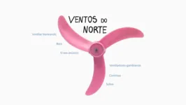Imagem ilustrativa da notícia Artista paraense lança exposição virtual "Ventos do Norte"